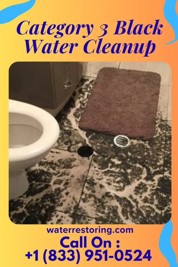 Category 3 Black Water Cleanup in Woodville, OH