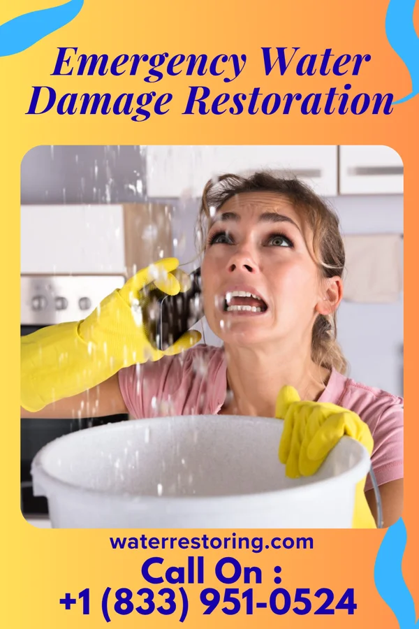 Emergency Water Damage Restoration in Woodville, OH