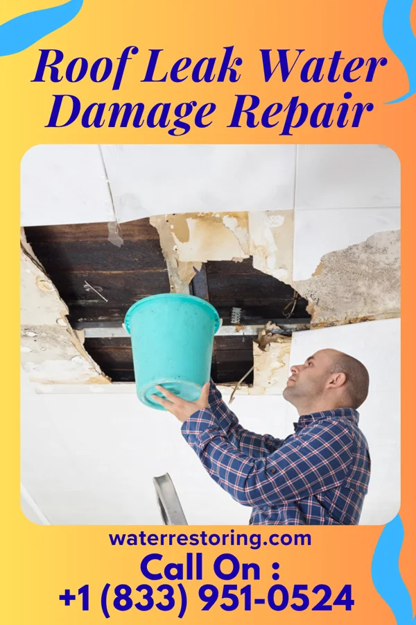 Roof Leak Water Damage Repair in Woodville, OH